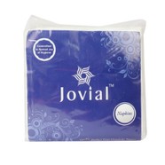 JOVIAL PLAIN NAPKINS 100N -1PLY (30 X 30)cm