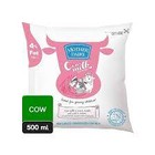 MOTHER DAIRY COW  MILK 500ml